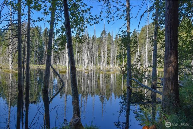 20 Acres SW Hunter Road, Port Orchard, WA 98367