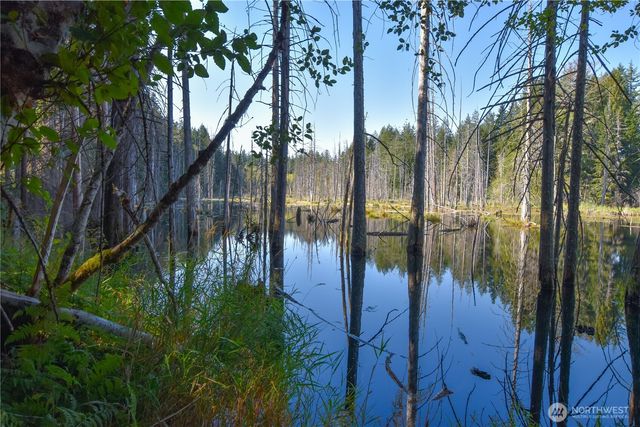 20 Acres SW Hunter Road, Port Orchard, WA 98367