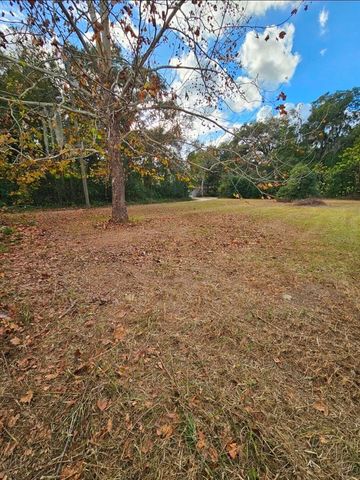 13585 SE 119TH STREET, Ocklawaha, FL 32179