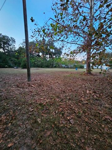 13585 SE 119TH STREET, Ocklawaha, FL 32179
