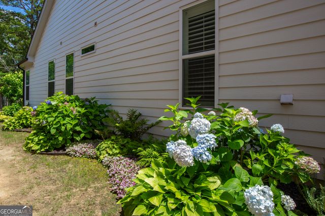 319 Erie Point, Hoschton, GA 30548