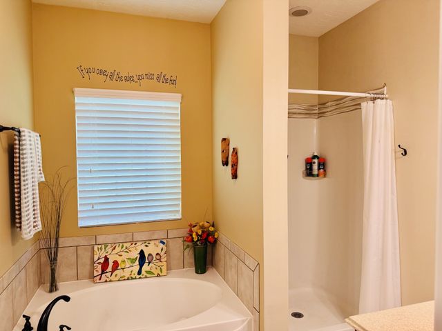 208 Indian Ridge Cir, White House, TN 37188