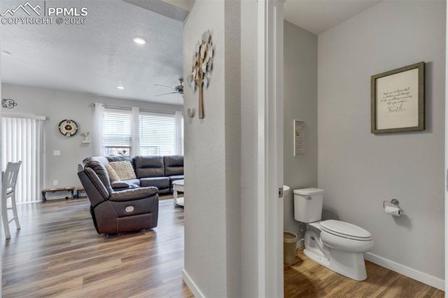 8101 Goldenray Place, Colorado Springs, CO 80908