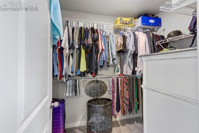 8101 Goldenray Place, Colorado Springs, CO 80908