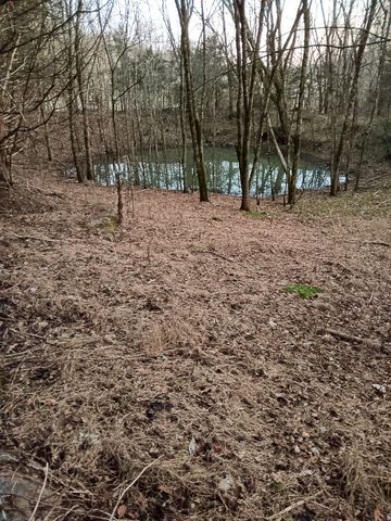 2665 Center Point Rd, Pulaski, TN 38478