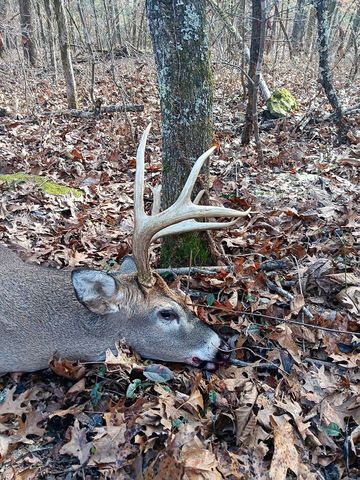 2665 Center Point Rd, Pulaski, TN 38478