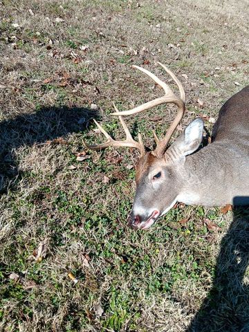 2665 Center Point Rd, Pulaski, TN 38478