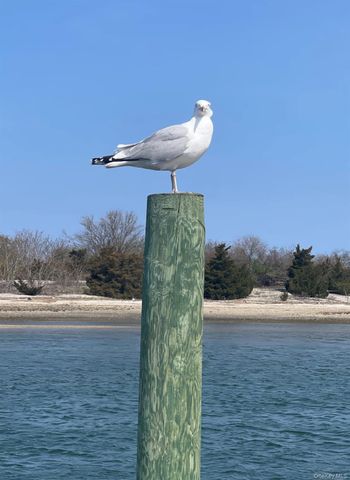 22 Bucknell Lane, Stony Brook, NY 11790