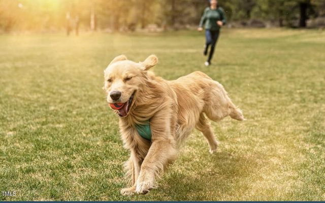 817 Central Pk Drive, Raleigh, NC 27604