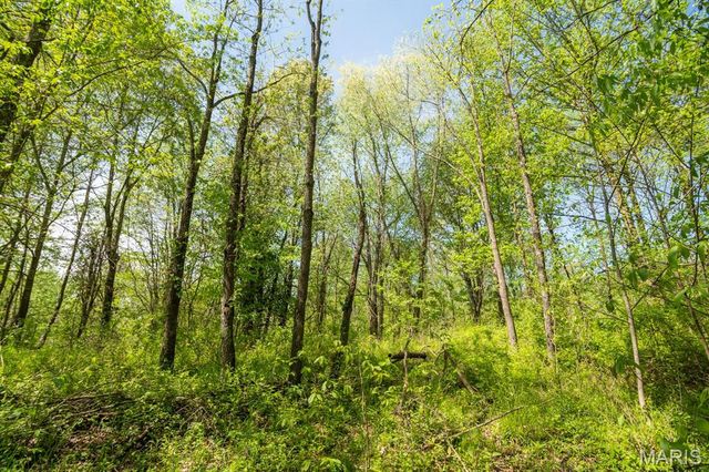 0 E Highway, Bloomfield, MO 63825