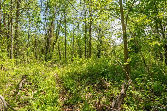 0 E Highway, Bloomfield, MO 63825