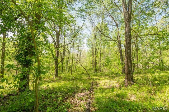 0 E Highway, Bloomfield, MO 63825