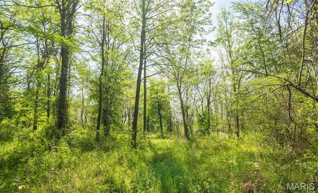 0 E Highway, Bloomfield, MO 63825