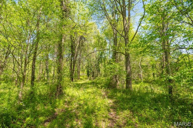 0 E Highway, Bloomfield, MO 63825