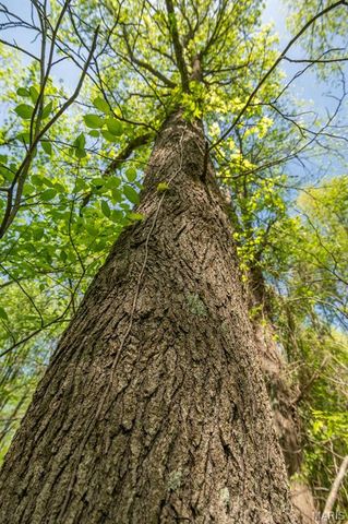 0 E Highway, Bloomfield, MO 63825