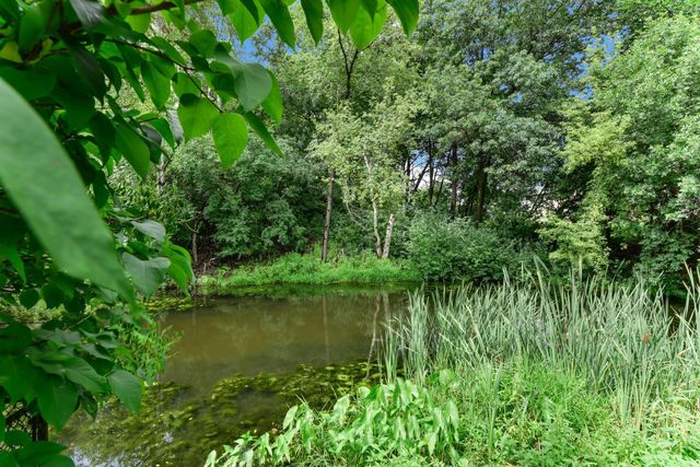 6170 Dallas Lane N, Plymouth, MN 55446