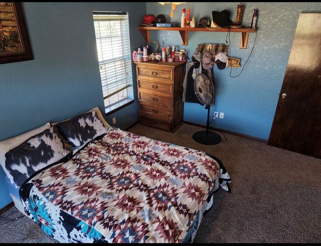 12175 250th Street, Blanchard, OK 73010