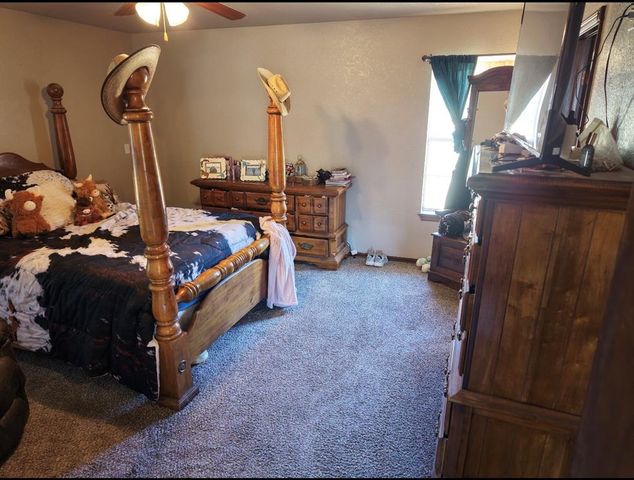 12175 250th Street, Blanchard, OK 73010