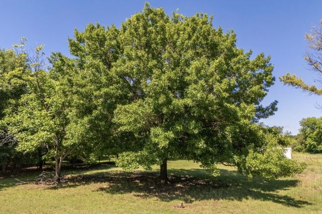 163 Fenn Road, Blum, TX 76627