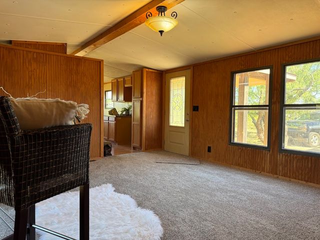 1338 Maxwell Street, Buffalo Gap, TX 79508