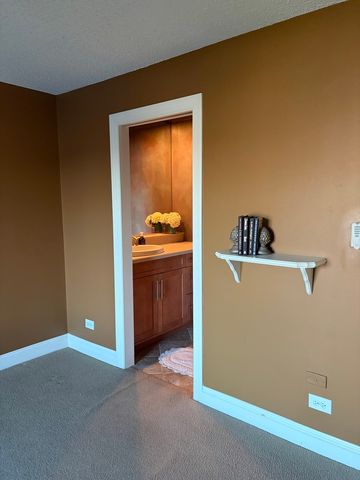 15817 Orlan Brook Drive 35, Orland Park, IL 60462