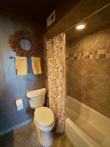 15817 Orlan Brook Drive 35, Orland Park, IL 60462