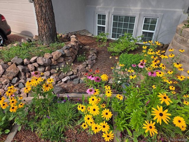 6020 Castlewood Ln, Colorado Springs, CO 80918