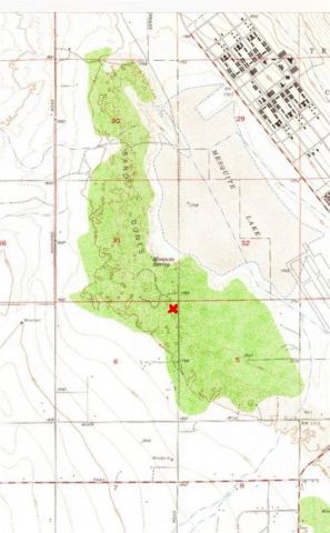 2368 Mesquite Springs Road, 29 Palms, CA 92277