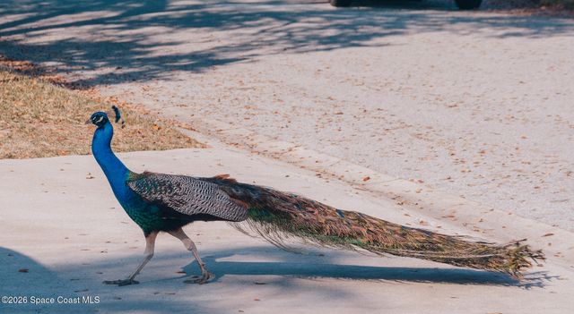 211 Circle Drive 27c, Cape Canaveral, FL 32920