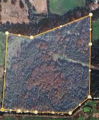 TBD Highway 21, Berryville, AR 72616