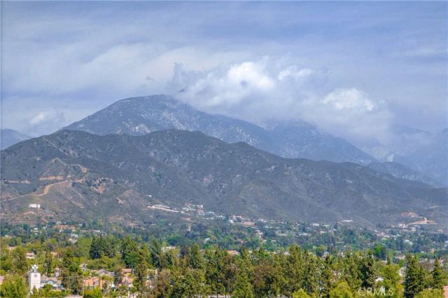 1986 White Rabbit, Upland, CA 91784