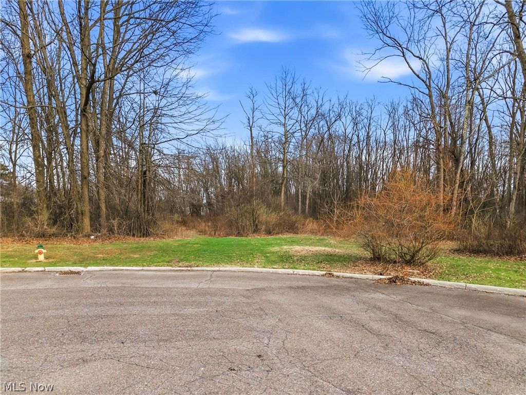 Cheeks Court, Cortland, OH 44410
