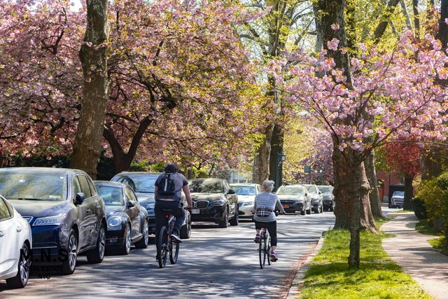 9834 63rd Dr Apt 1C, New York City, NY 11374