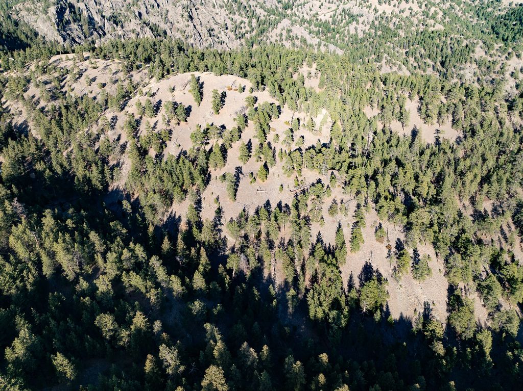 TBD Big Pine Lane, Cascade, MT 59421