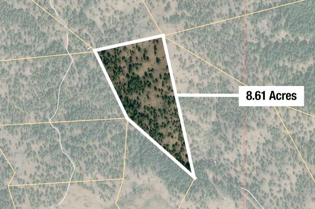 TBD Big Pine Lane, Cascade, MT 59421 photo 2