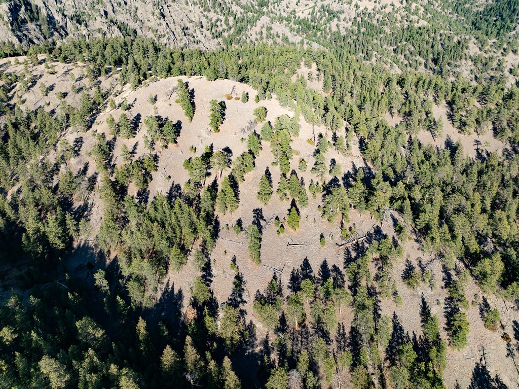 TBD Big Pine Lane, Cascade, MT 59421 photo 3