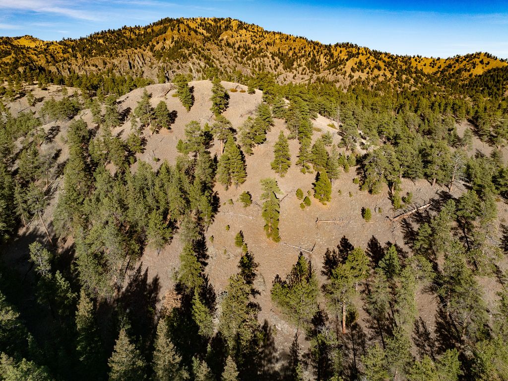 TBD Big Pine Lane, Cascade, MT 59421 photo 4