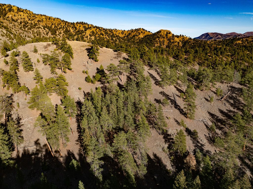 TBD Big Pine Lane, Cascade, MT 59421 photo 5