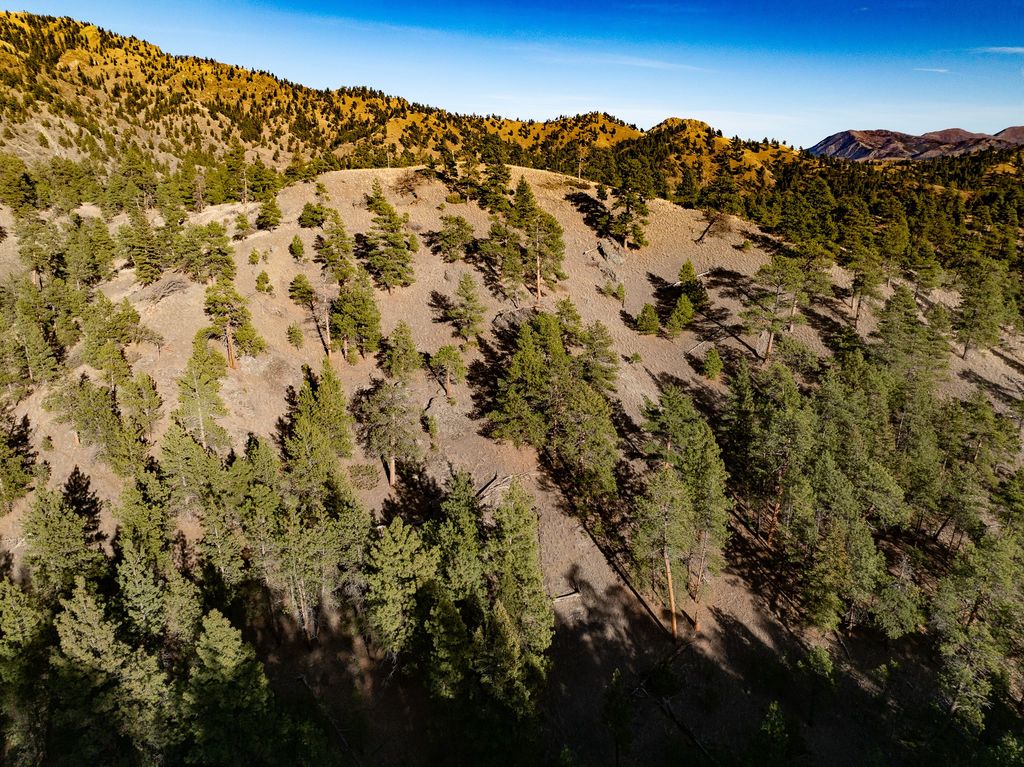 TBD Big Pine Lane, Cascade, MT 59421 photo 6