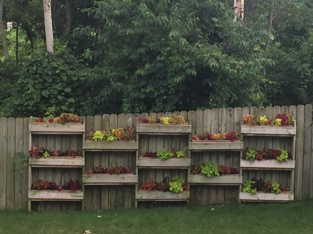 33 Fox Point Court Ne, Ada Twp, MI 49301