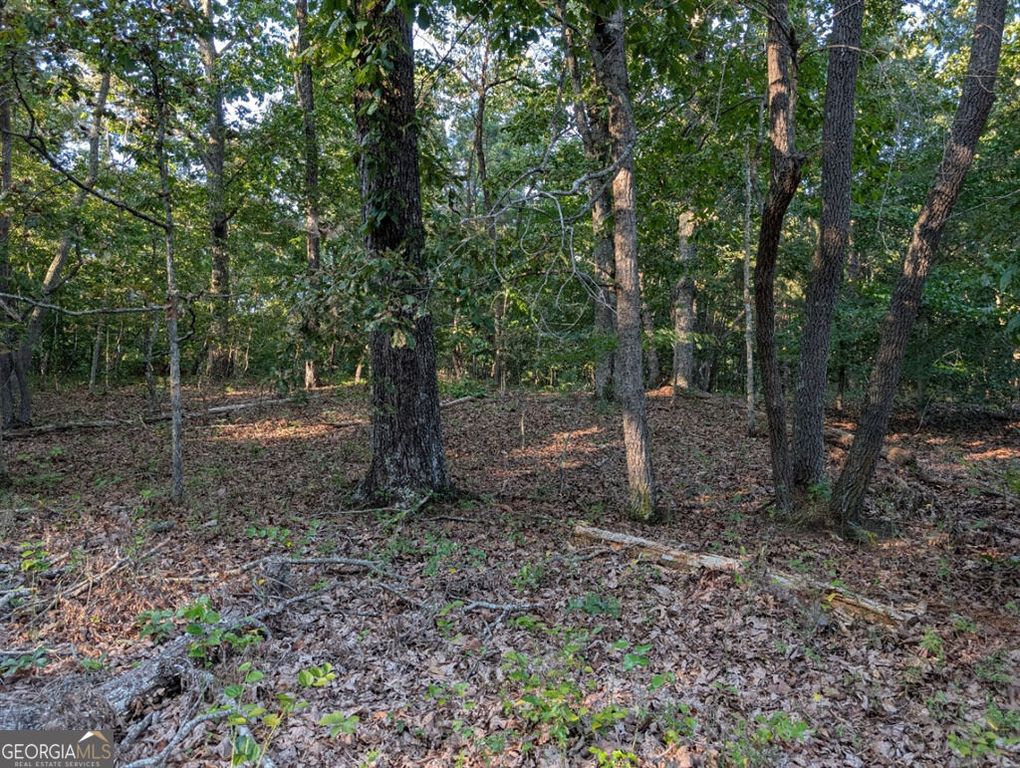 0 Jay Green Road, Canton, GA 30115 — photo 5