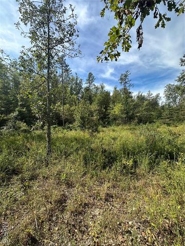 TBD County Road 636, Ellington, MO 63638