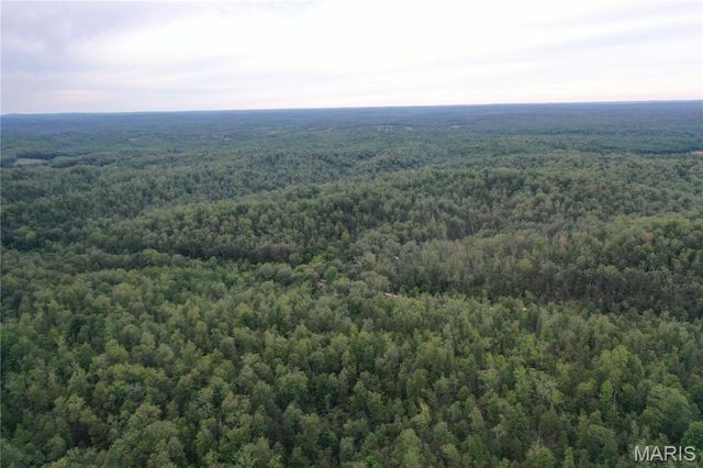 TBD County Road 636, Ellington, MO 63638