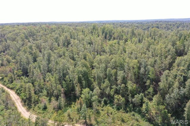 TBD County Road 636, Ellington, MO 63638