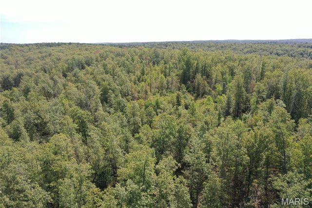 TBD County Road 636, Ellington, MO 63638