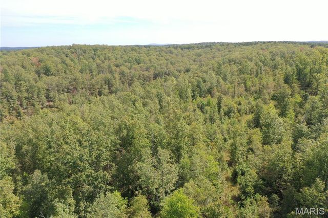 TBD County Road 636, Ellington, MO 63638