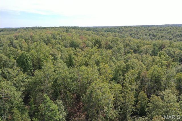 TBD County Road 636, Ellington, MO 63638