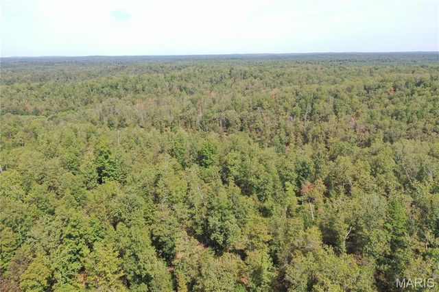 TBD County Road 636, Ellington, MO 63638