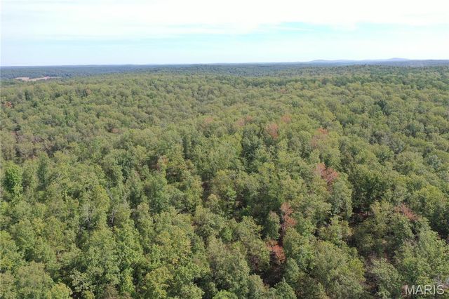 TBD County Road 636, Ellington, MO 63638