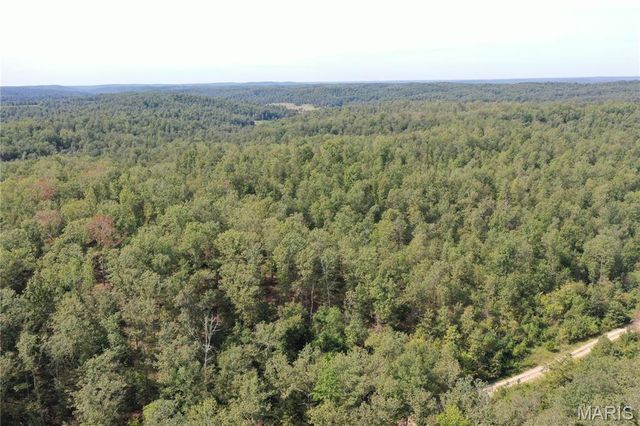 TBD County Road 636, Ellington, MO 63638